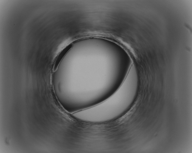 X0000092001365200709061232