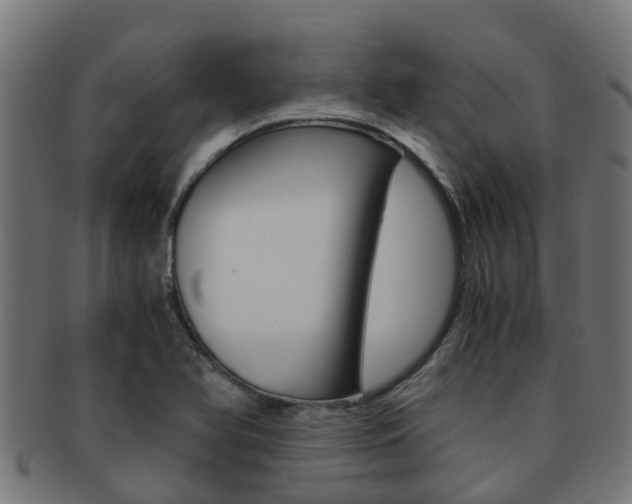 X0000092001366200709061232