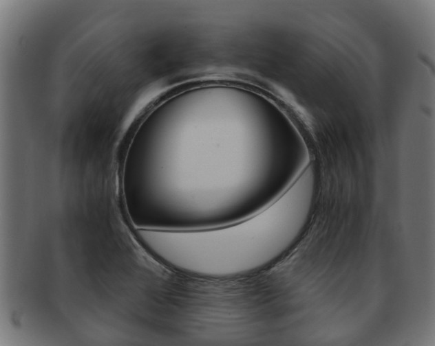 X0000092001368200709061232