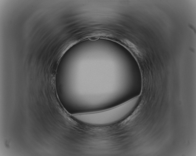 X0000092001369200709061232