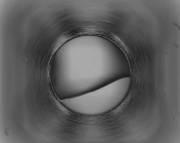 X0000092001370200709061232