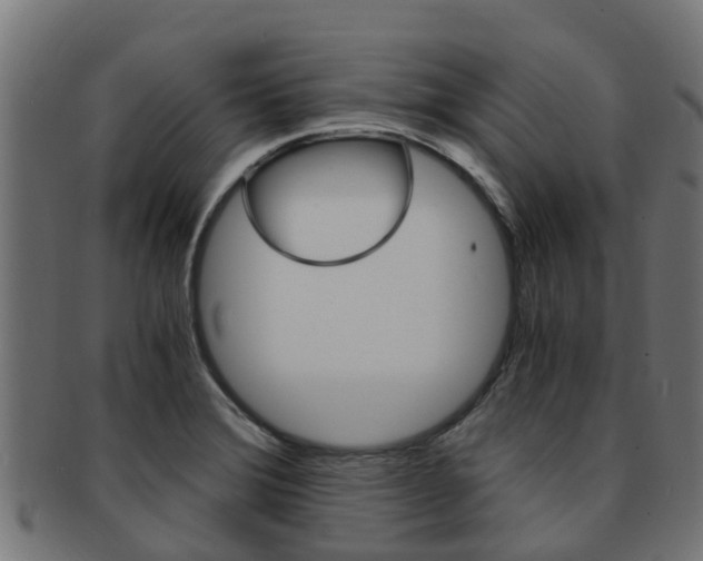 X0000092001372200709061232