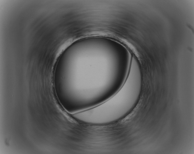 X0000092001373200709061232