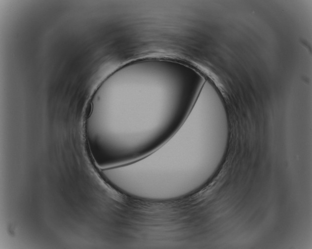 X0000092001375200709061232