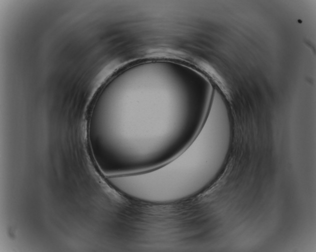 X0000092001376200709061232