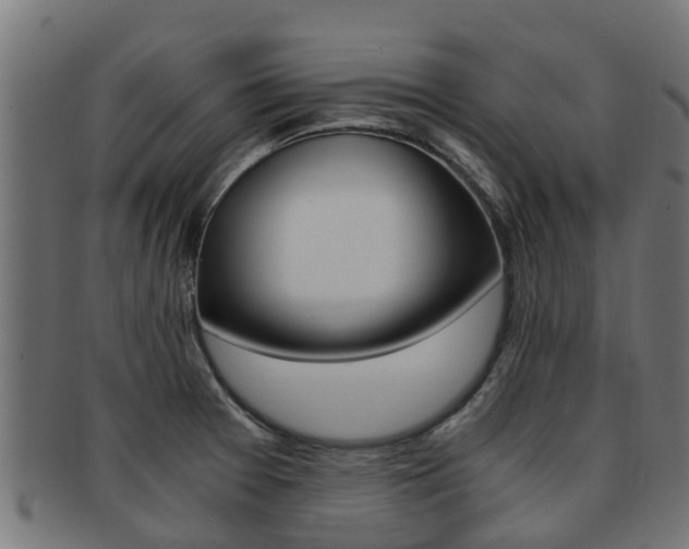 X0000092001377200709061232