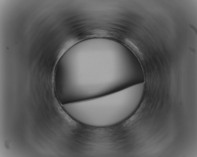 X0000092001378200709061232