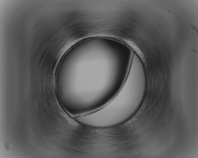 X0000092001380200709061232