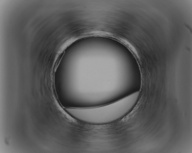 X0000092001381200709061232