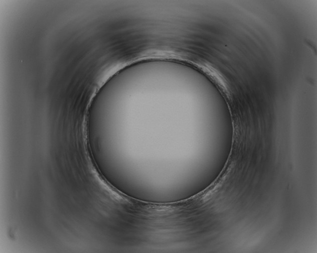 X0000092001382200709061232