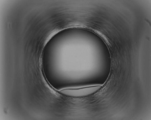 X0000092001383200709061232