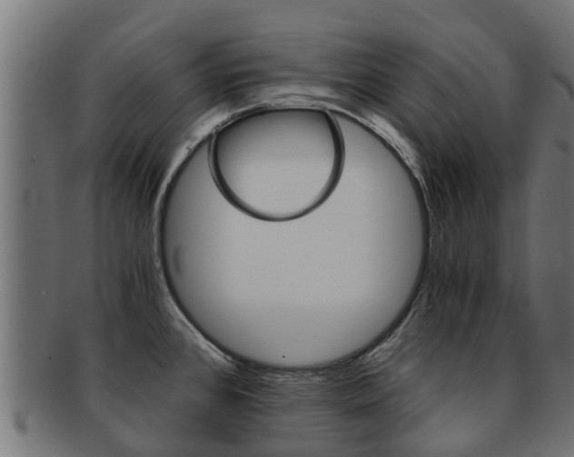 X0000092001384200709061232
