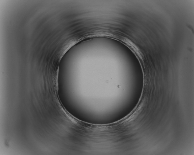 X0000092001385200709061232