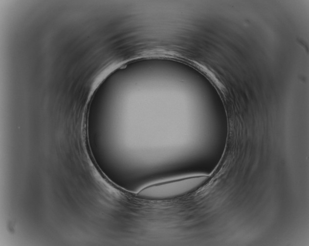 X0000092001387200709061232