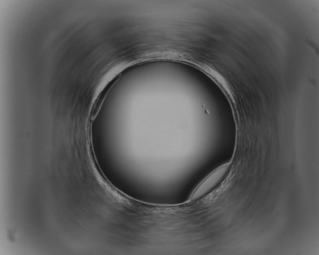 X0000092001389200709061232