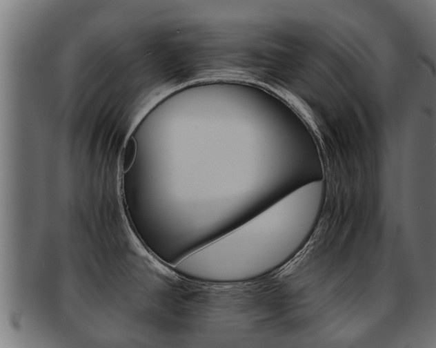 X0000092001390200709061232