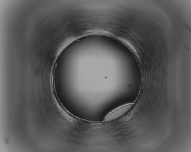 X0000092001391200709061232