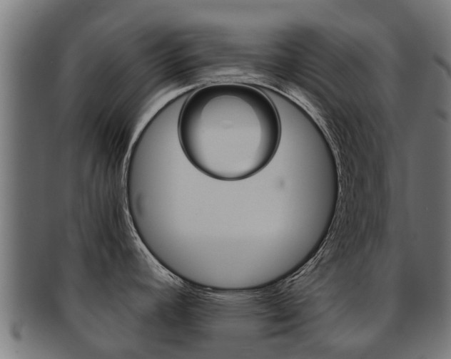 X0000092001392200709061232