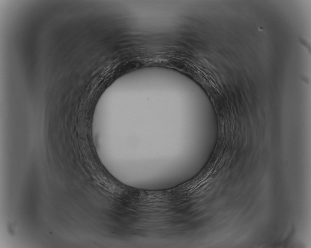 X0000092001393200709061231