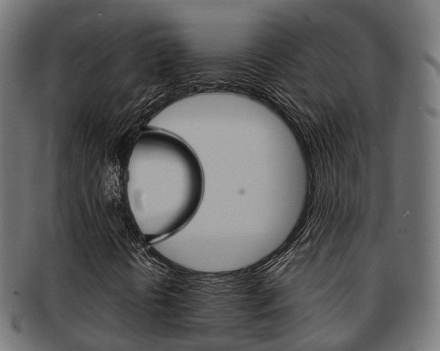 X0000092001394200709061231