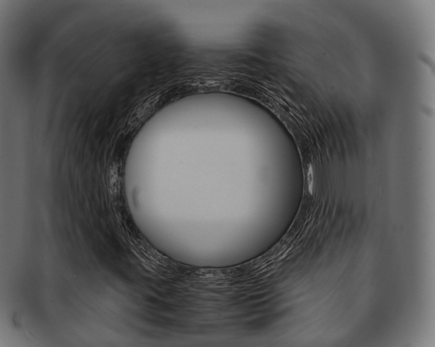 X0000092001395200709061231