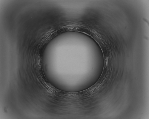 X0000092001396200709061231