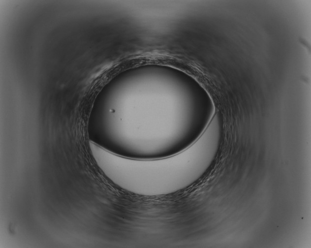 X0000092001398200709061231