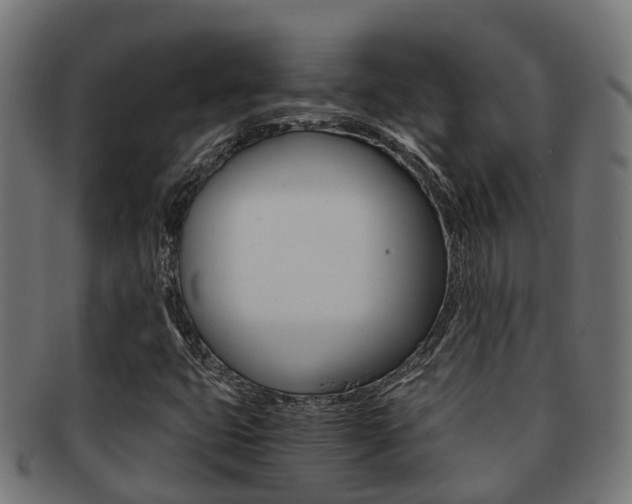 X0000092001399200709061231