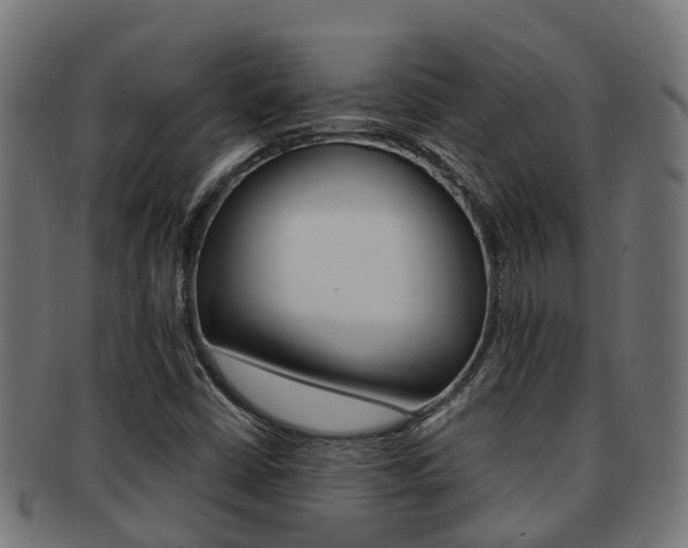 X0000092001402200709061231