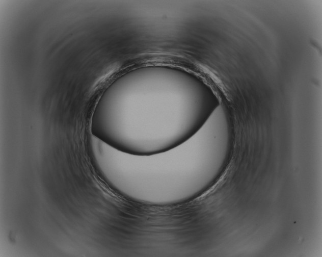 X0000092001403200709061231