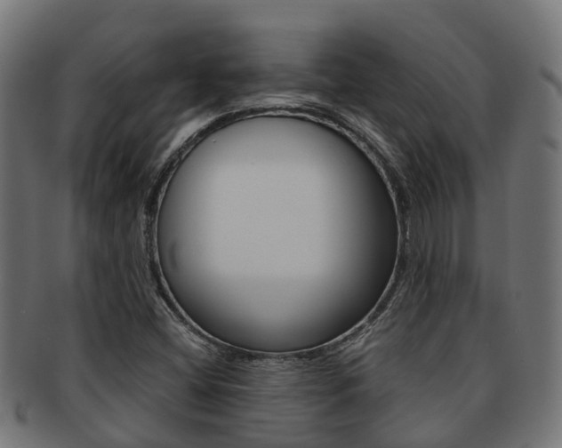 X0000092001404200709061231