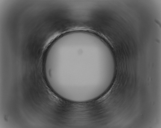 X0000092001406200709061231