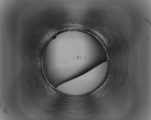 X0000092001407200709061231