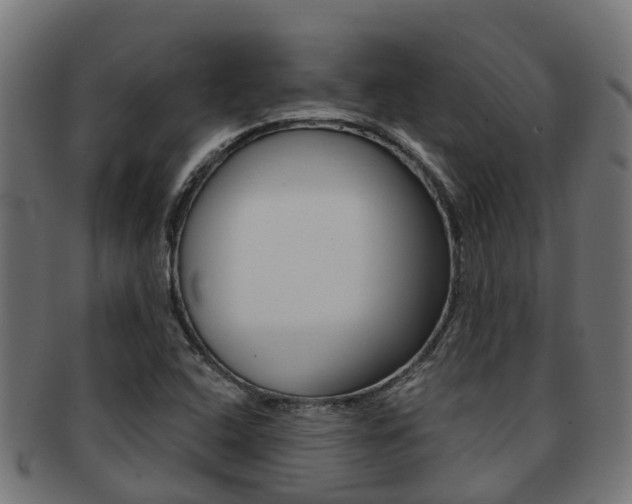 X0000092001408200709061231