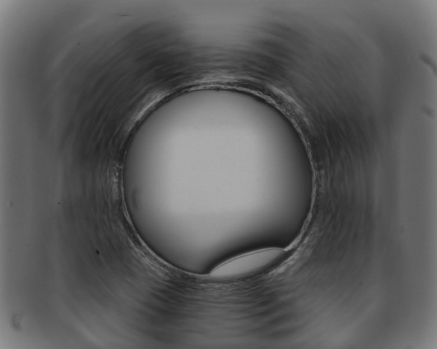 X0000092001409200709061231