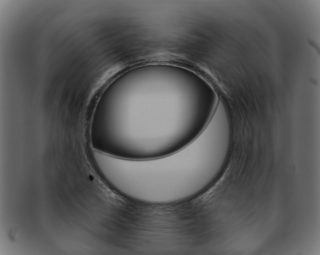 X0000092001410200709061231