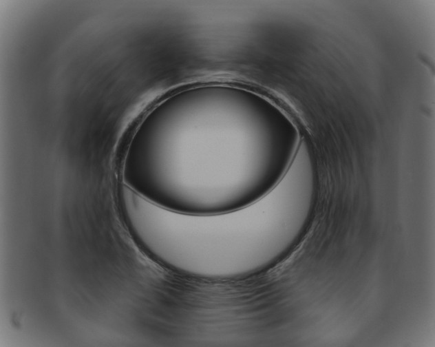 X0000092001414200709061231