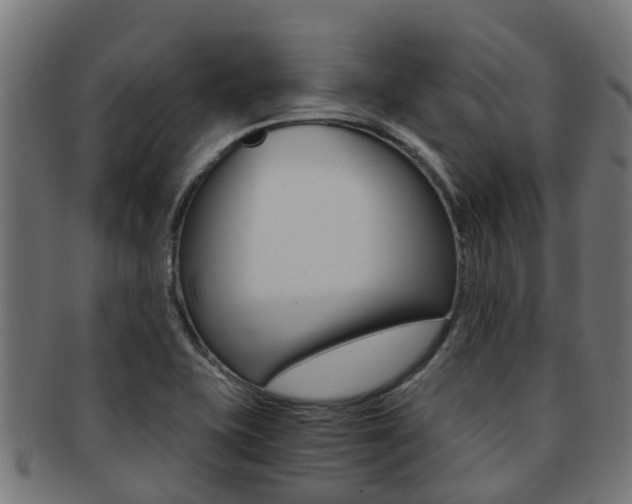 X0000092001415200709061231