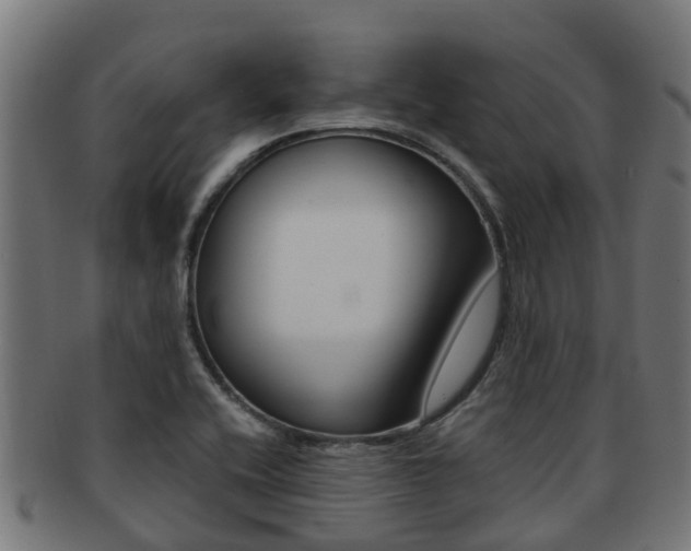 X0000092001416200709061231