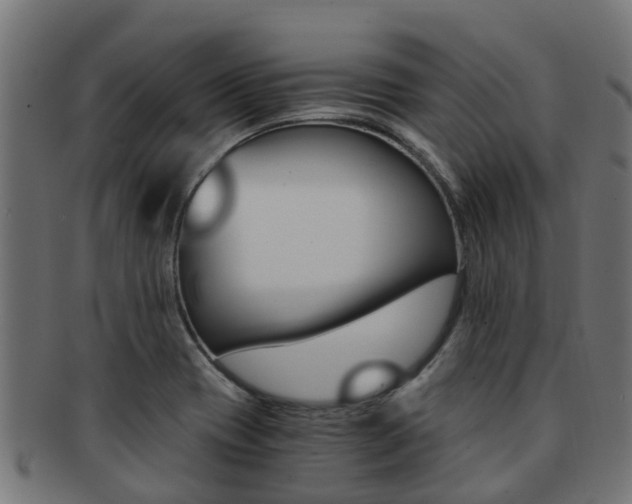 X0000092001417200709061231