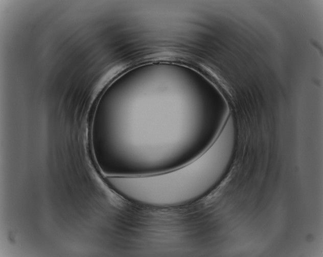 X0000092001418200709061231