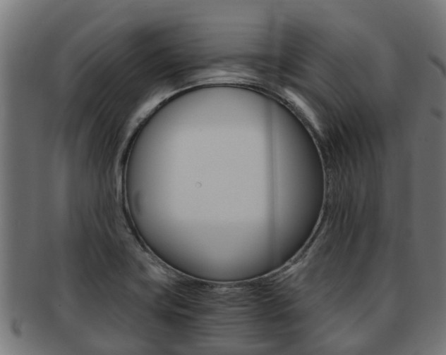 X0000092001419200709061231