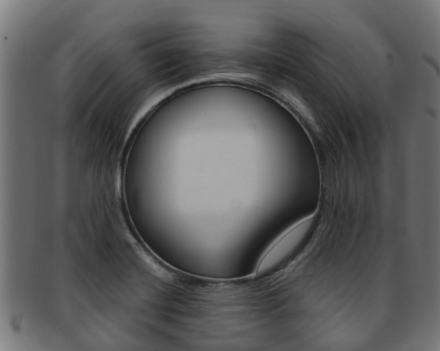 X0000092001420200709061231