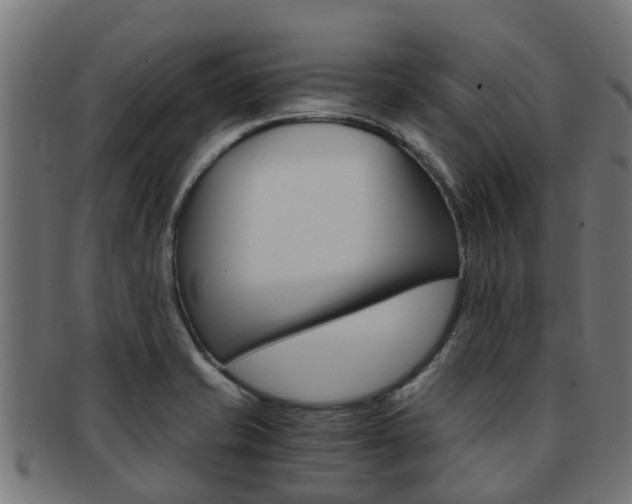 X0000092001421200709061231