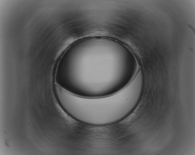 X0000092001422200709061231