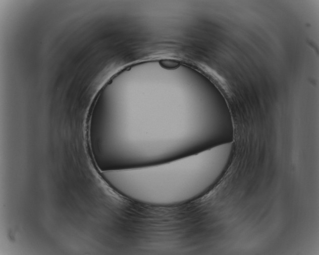 X0000092001423200709061231