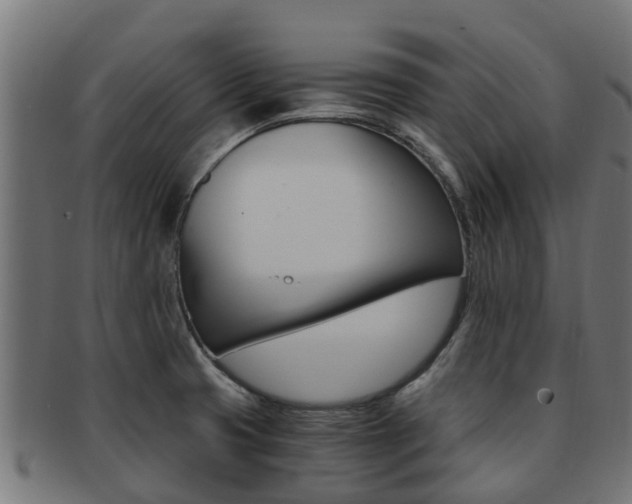 X0000092001425200709061231