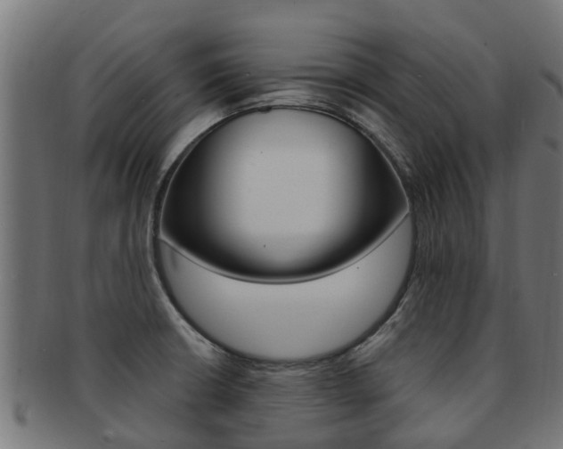 X0000092001426200709061231