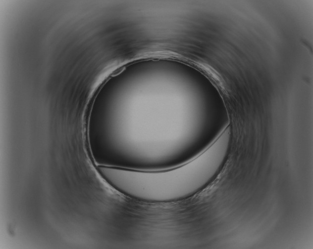 X0000092001430200709061231