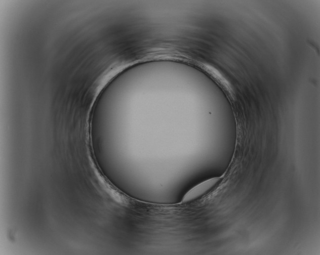 X0000092001431200709061231